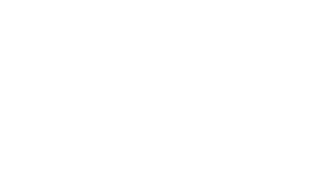 Phoenix - Quinorgan