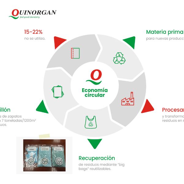 Circulo explicativo de la economía circular en Quinorgan