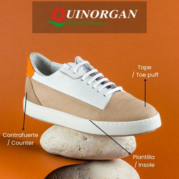 calzado deportivo y sus componentes internos